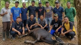 Momentum Hari Raya Iduladha 1447 Hijriah / 2026 Masehi, dimanfaatkan oleh Dinas Pekerjaan Umum dan Penataan Ruang (PUPR) Kabupaten Karimun untuk berkontribusi nyata dalam urusan kesehatan masyarakat.(Foto: Istimewa)