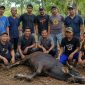 Momentum Hari Raya Iduladha 1447 Hijriah / 2026 Masehi, dimanfaatkan oleh Dinas Pekerjaan Umum dan Penataan Ruang (PUPR) Kabupaten Karimun untuk berkontribusi nyata dalam urusan kesehatan masyarakat.(Foto: Istimewa)