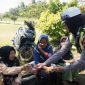 Panasnya orasi, ademnya aksi, polisi bagikan minuman gratis di tengah demo tolak tambang Karimun.(Foto: Izar)