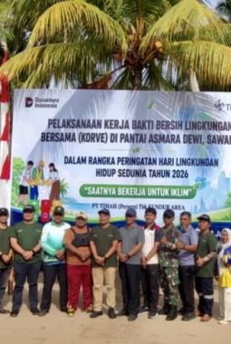 Dorong Pelestarian Lingkungan dan Potensi Wisata, PT Timah Tanam Pohon dan Bersihkan Pantai Asmara Dewi