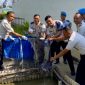 Rumah Tahanan Negara (Rutan) Kelas IIB Tanjunbalai Karimun, Provinsi Kepulauan Riau, berhasil memanen sebanyak 65 kilogram ikan lele dari program budidaya yang dijalankan di Sarana Asimilasi dan Edukasi (SAE), Selasa (23/6/2026).(Foto: Istimewa)