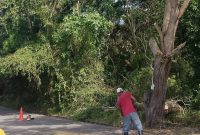 Aktivitas pemangkasan dahan pohon di Kelurahan Sungai Pasir berujung tak terduga setelah memicu padamnya aliran listrik secara mendadak di sejumlah kawasan Kecamatan Meral, Minggu (28/6).(Foto: Junizar)