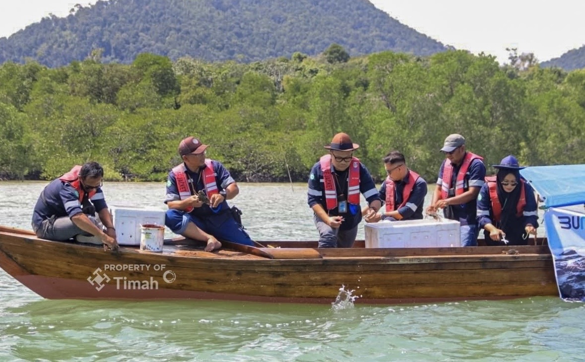 Menghidupkan kembali pesisir Karimun tak melulu soal menanam mangrove. Bergerak lebih jauh, PT Timah (Persero) Tbk secara konsisten melakukan restocking kepiting bakau demi mengembalikan keseimbangan satwa penjaga ekosistem di Kepulauan Riau.(Foto: Istimewa)