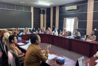 Keadilan layanan kesehatan hingga ke ujung pulau. DPRD Kabupaten Karimun kini pasang badan memperjuangkan pemerataan tenaga kesehatan, memastikan warga di pulau-pulau terluar mendapatkan hak berobat yang layak dan berkualitas.(Foto: Istimewa)