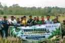 Panen perdana 5.000 batang nanas hasil budidaya Kelompok Tani Bina Tani Tailong binaan PT Timah Tbk di Kundur Barat, resmi dimulai untuk mendongkrak ekonomi warga setempat.(Foto: Istimewa)